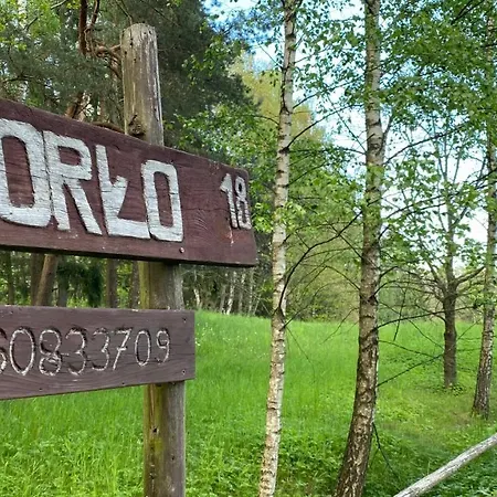 Gorlo 18 Mazurskie Siedlisko Na Ryby I Na Grzyby Stare Juchy